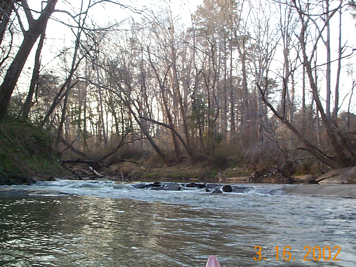 ./2002/Neuse River Rogers South/DCP01342.JPG
